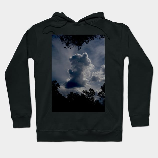 Storm Cloud Hoodie by GP1746